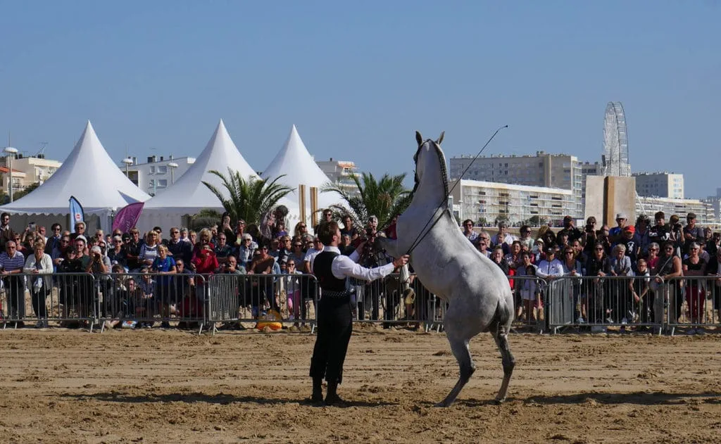 Caval’Océane